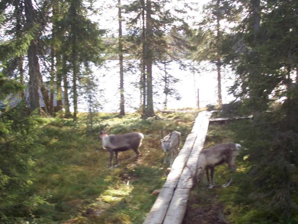 Villa Vuossel Ruka Eksteriør bilde